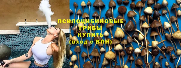 тгк Аркадак