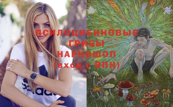 тгк Аркадак